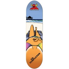 Toy Machine Skateboard-Deck Selfie Templeton 8,5 Bild 1