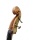 Gedo Kontrabass Vollmassiv Natur Blonde Bild 3