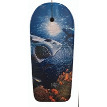 BECO-BEERMANN KICKBOARD BODYBOARD SHARK Bild 1