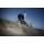 HQ-Kitezone Prodigy, Kite, Invento, Tractionkite 5,5 Bild 4