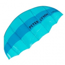 C-Quad 1,4 Kite von Peter Lynn Bild 1
