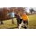 Gibbon Slackline Rahmen A Frame Bild 2