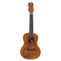 Luna Malu Konzert Ukulele Bild 1