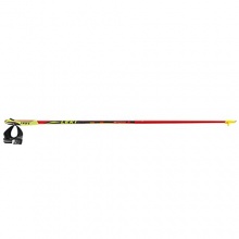 LEKI Nordic Walking Stcke Walker Platinium Rot 105 cm Bild 1