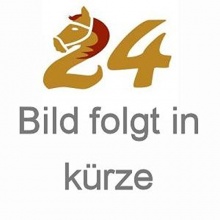 HKM Einspnner-Geschirr Economic schwarz Pony Bild 1