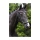 Premiera Geschirr pony schwarz-wei Bild 1