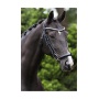 Premiera Geschirr pony schwarz-wei Bild 1