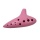 Tiger OCR2 PK Tiger Ocarina  Rose Bild 1