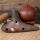 Qualitts Keramisch Okarina Flte Ocarina Instrument 12 Loch Bild 2