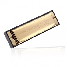 Swan Mundharmonika 10 Löcher Blues Harp Mundharmonika Tonart C Bild 1