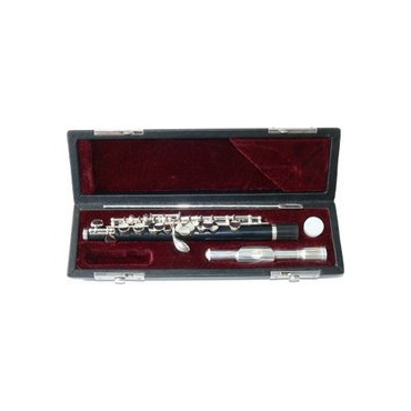 Steinbach Piccolo Flte mit Lederkoffer SFLP 200 Bild 1