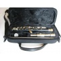 SYMPHONIE WESTERWALD Piccoloflte  Bild 1