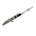 C Piccoloflte Piccolo im Etui Bild 1
