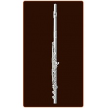 Pearl PF 505E Querflte Bild 1