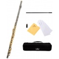 Cecilio FE 280BNG Goldlack C Ton Querflöte Bild 1