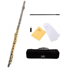 Cecilio FE 280BNG Goldlack C Ton Querflöte Bild 1