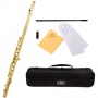 Cecilio FE 280L Goldlack C Ton Querflte Bild 1