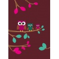 Disagu Design Skin fr Amazon Kindle Drei Eulen Bild 1