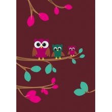 Disagu Design Skin fr Amazon Kindle Drei Eulen Bild 1