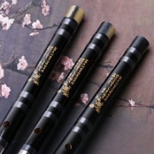 Study Level Bitter Bamboo Chinese Bamboo Flute Bild 1