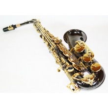 Cherrystone schwarzes Alt Saxophon Eb ABS Bild 1