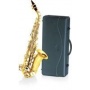 Delson V SAXSC Sopran Saxophon Bild 1