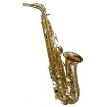Earlham Series 2 Altsaxophon Bild 1