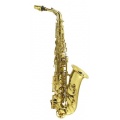 Arnolds Sons AAS100 YG Altsaxophon mit Etui Bild 1
