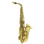Arnolds Sons AAS100 YG Altsaxophon mit Etui Bild 1