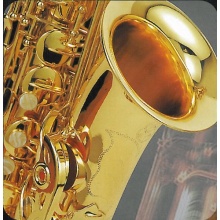 Alt Saxophone AS 1 mit Koffer Bild 2