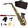 Cecilio AS 280BNG Vernickelt Goldlack Eb Alt Saxophon Bild 1
