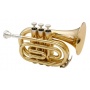 Classic Cantabile TT 500 Brass bB Taschentrompete Bild 1