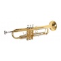 Messina Winds Trompete Bild 1