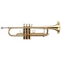 Lechgold TR 16L Bb Trompete Bild 1