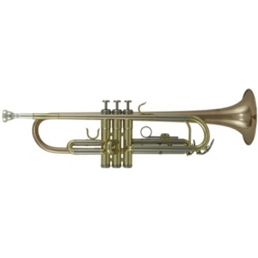 Roy Benson Bb Trompete TR 202G Student Pro Series Bild 1