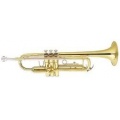 ARNOLDS  SONS TR 235 L Trompete Bild 1