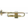 Ashton Tr10 Trompete Bild 1