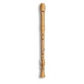 Mollenhauer 2446C CANTA Comfort Tenor Blockflte barock Bild 1