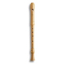 Mollenhauer 2466 CANTA Tenor Blockflöte Birnbaum hell deutsch Bild 1