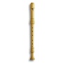 Mollenhauer 5422 DENNER Tenor Blockflte Zapatero Buchsbaum barock Bild 1