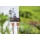 Gardena 08193-20 2-Wege-Verteiler Bild 2