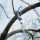 Gardena 302-20 cs-Baumschere mit Ziehhlse Bild 2