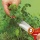 WOLF-Garten 7216000 Florist.Gartenschere RA-X Bild 5
