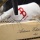Meinl Percussion AE-CAJ3BK Flamenco Cajon, Artisan Edition - Sole Line, ebony burst Bild 3