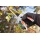 Connex FLOR70361 Ratschen-Gartenschere, 205 mm, alu Bild 4