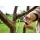 Gardena 8701-20 Premium Gartenschere BP 30 Bild 4