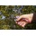 Connex FLOR70200 Bypass-Gartenschere Design, 180 mm, alu Bild 4