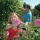 Draper DIY Series Easy Find 28234 Bypass-Gartenschere Bild 2
