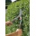 Gardena 398-20 Classic Heckenschere 540 FSC pure 370