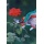Connex FLOR70340 Gartenschere, Leichtmetall, 215 mm Bild 3